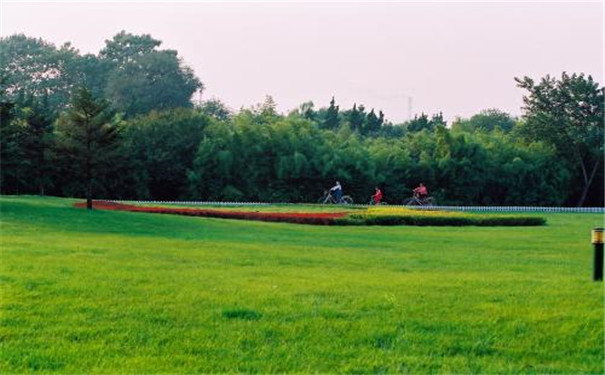 網絡化空氣監測站