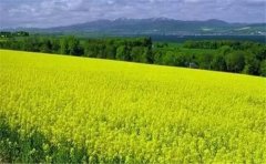 怎么用空氣負(fù)氧離子監(jiān)測(cè)系統(tǒng)?